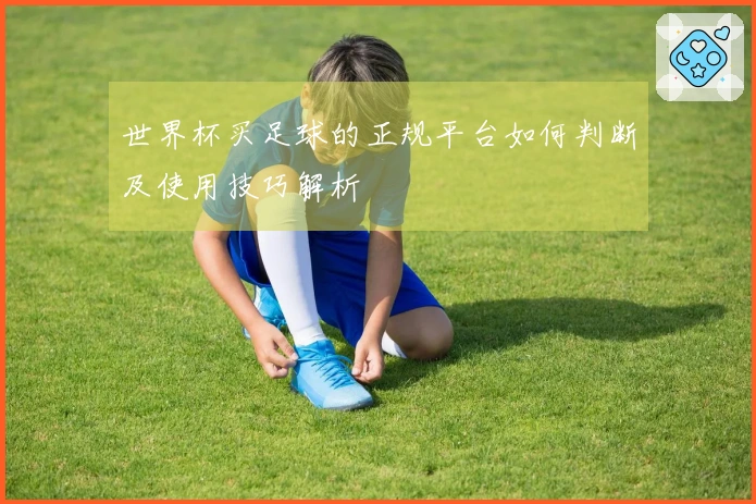 世界杯买足球的正规平台如何判断及使用技巧解析