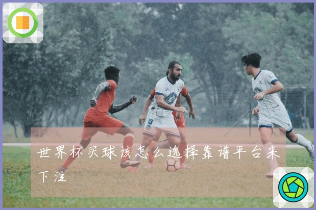 世界杯买球该怎么选择靠谱平台来下注