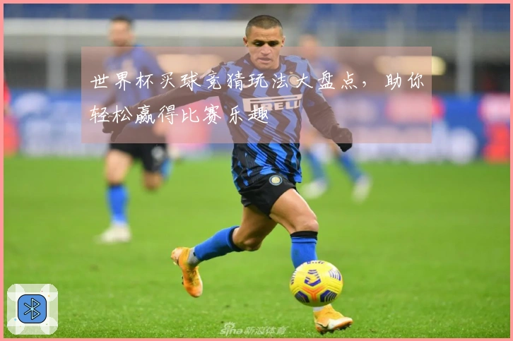 世界杯买球竞猜玩法大盘点，助你轻松赢得比赛乐趣