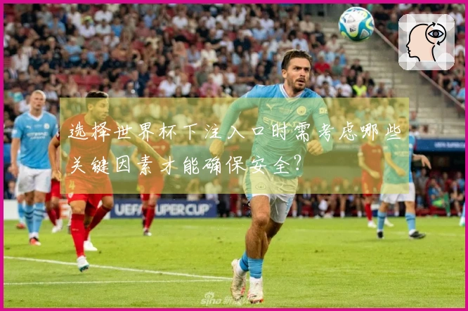 选择世界杯下注入口时需考虑哪些关键因素才能确保安全？