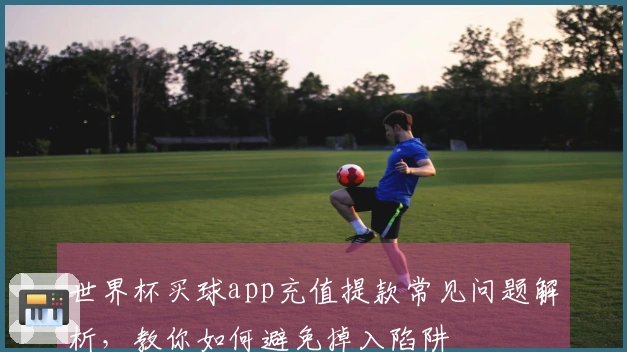 世界杯买球app充值提款常见问题解析，教你如何避免掉入陷阱